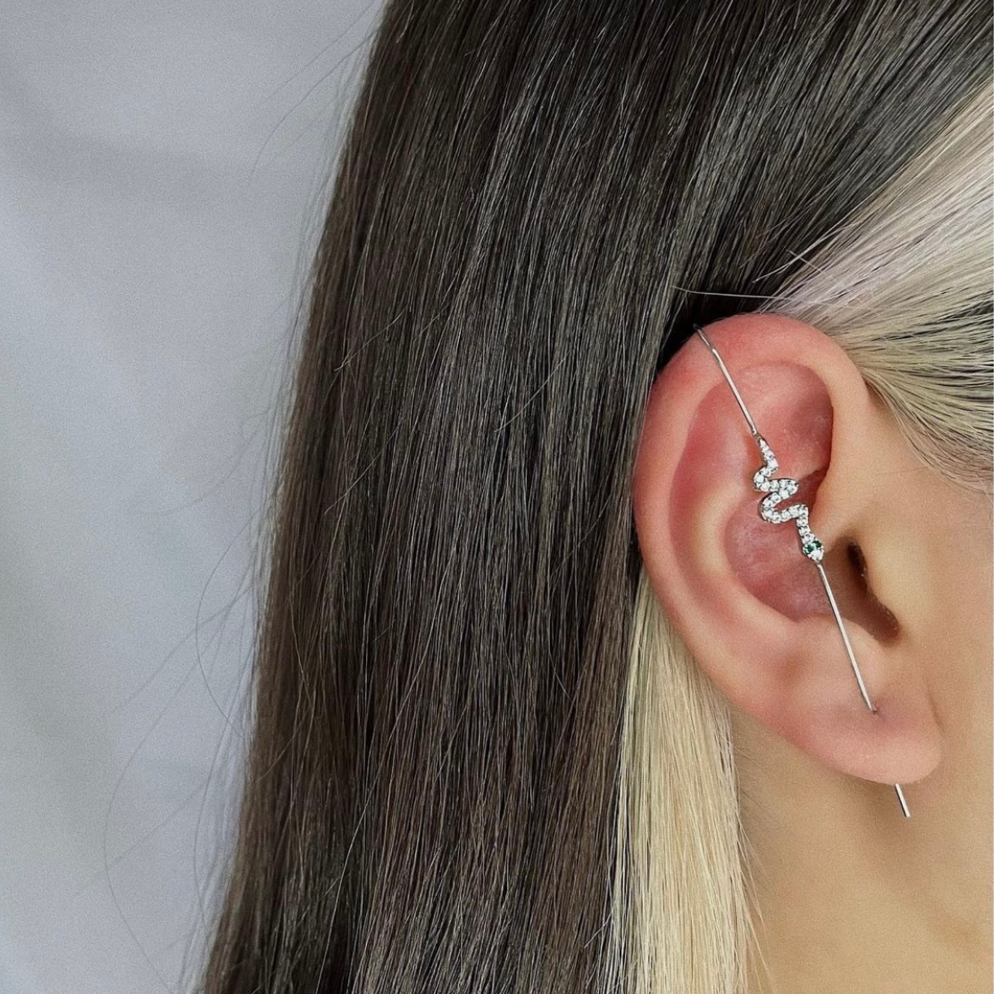 SNAKE ROD EARRING
